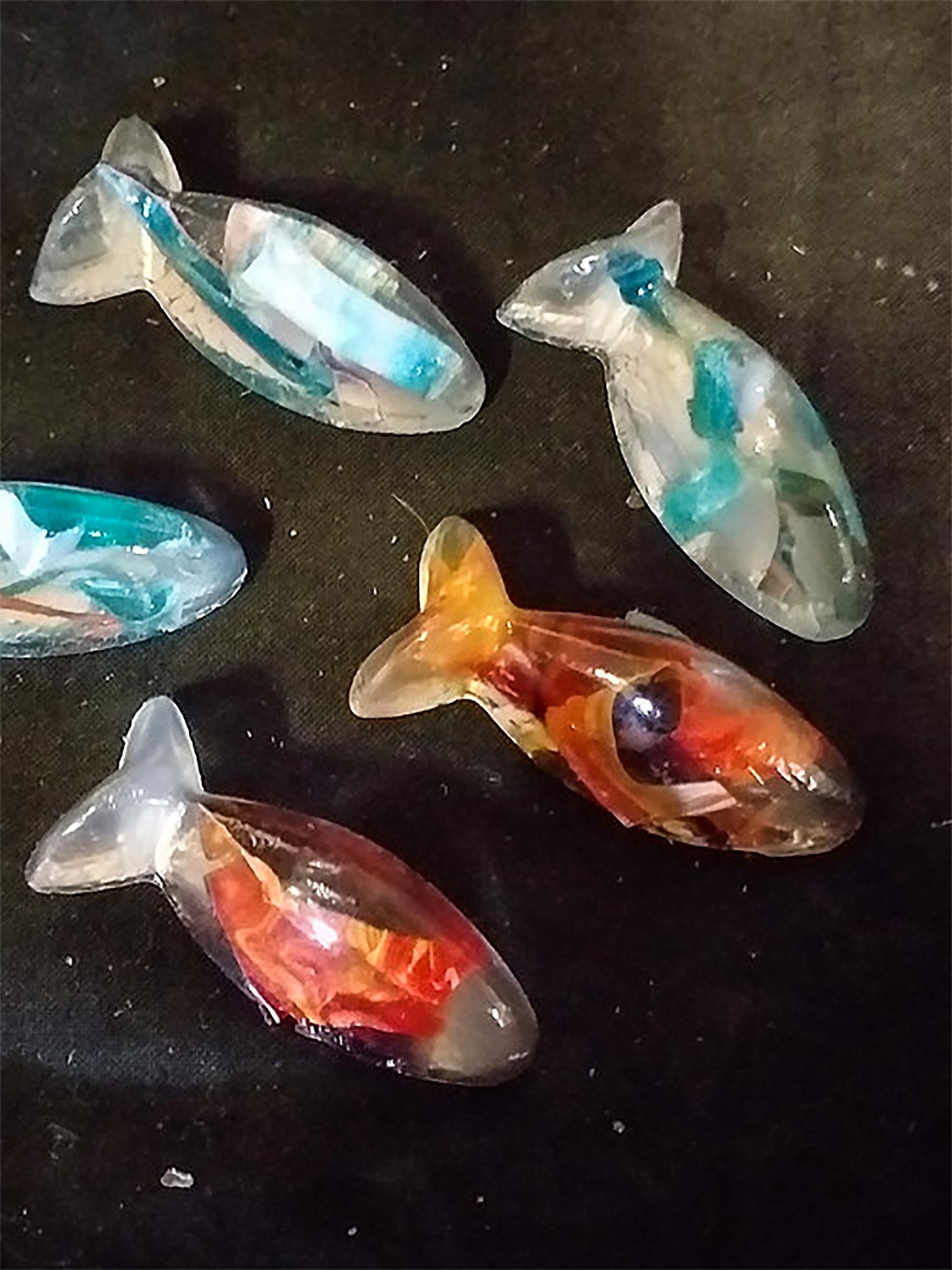 Trash In Fish, Collection