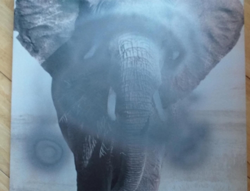 Larger paintings process and evaluation